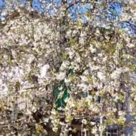 Dolce Risveglio Frühstückspension