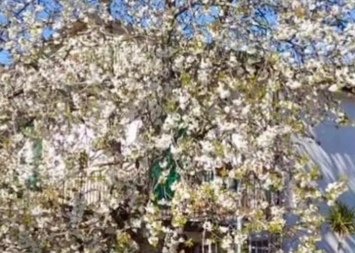 Dolce Risveglio Отель типа 